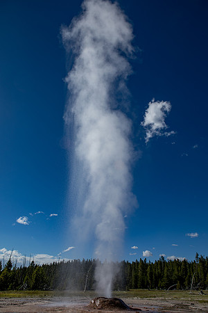 Yellowstone-71