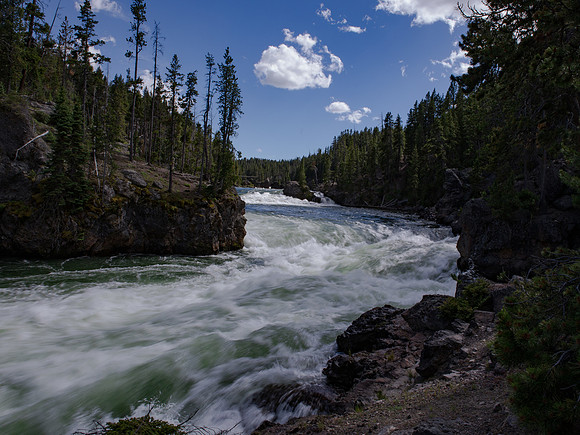 Yellowstone-96