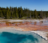 Yellowstone-78