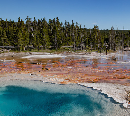 Yellowstone-78