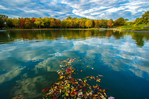 Montreal Reflection
