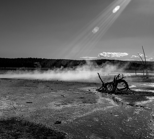Steam Beam
