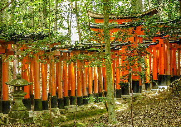 Torii Gate Pathway