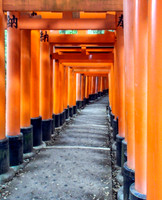Torii Gates