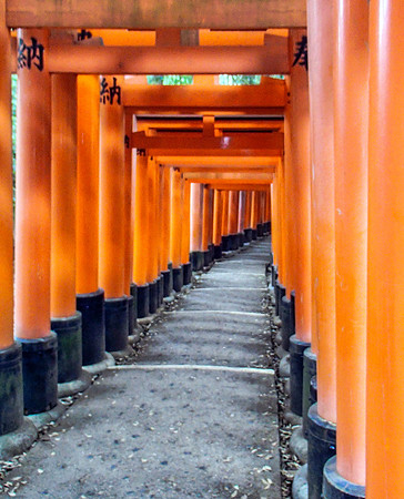 Torii Gates