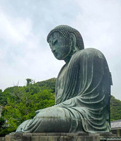 Buddha Profile