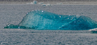 Alaska -14