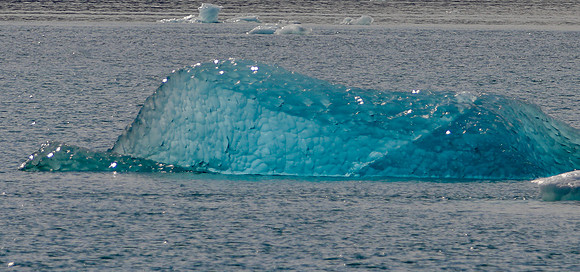 Alaska -14