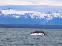Alaska -15