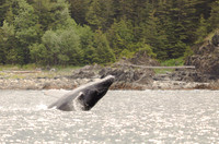 Alaska -20