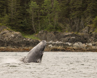 Alaska -29