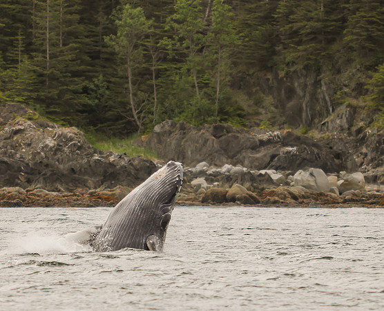 Alaska -29